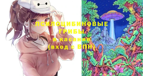 круглые Алзамай