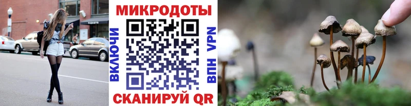 Псилоцибиновые грибы мицелий Кингисепп