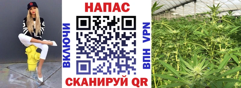 наркота  ссылка на мегу ТОР  Конопля OG Kush  Кингисепп 